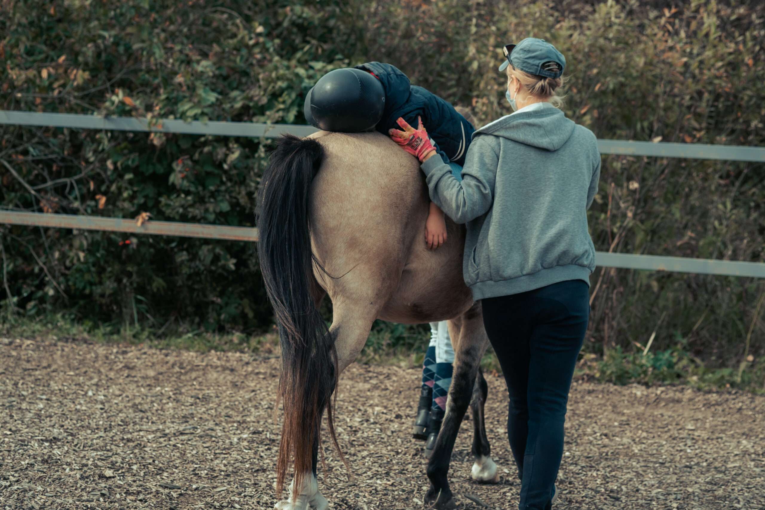 equine therapy in addiction rehab