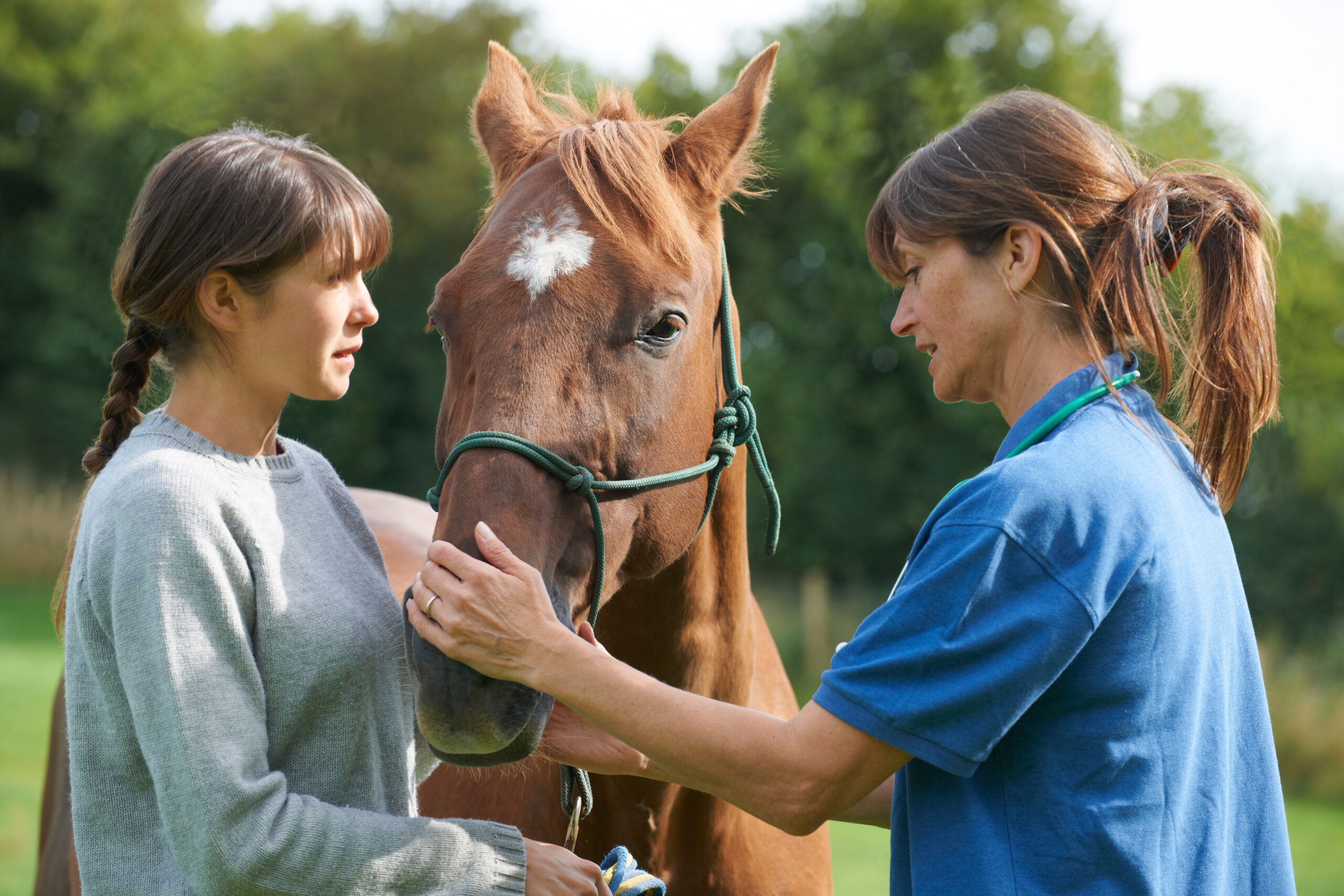 Benefits of Equine Therapy for Veterans