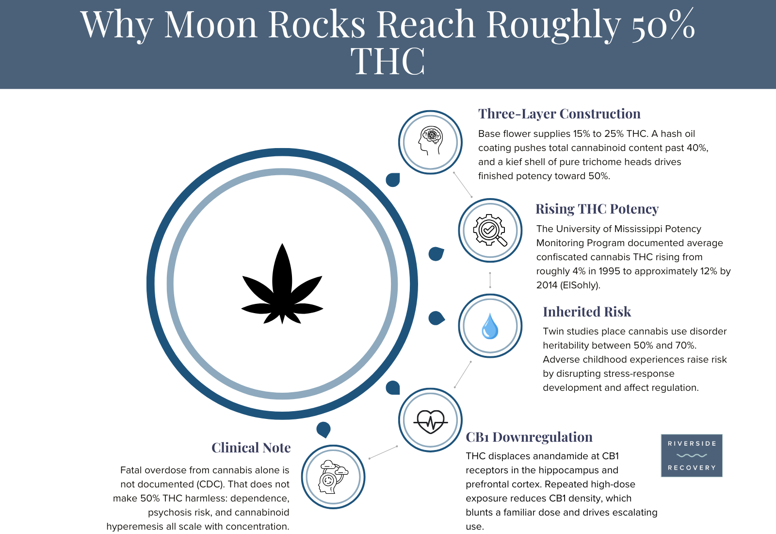 Chart showing why moon rocks reach roughly 50 percent THC: three-layer construction, rising cannabis potency, inherited risk, and CB1 receptor downregulation