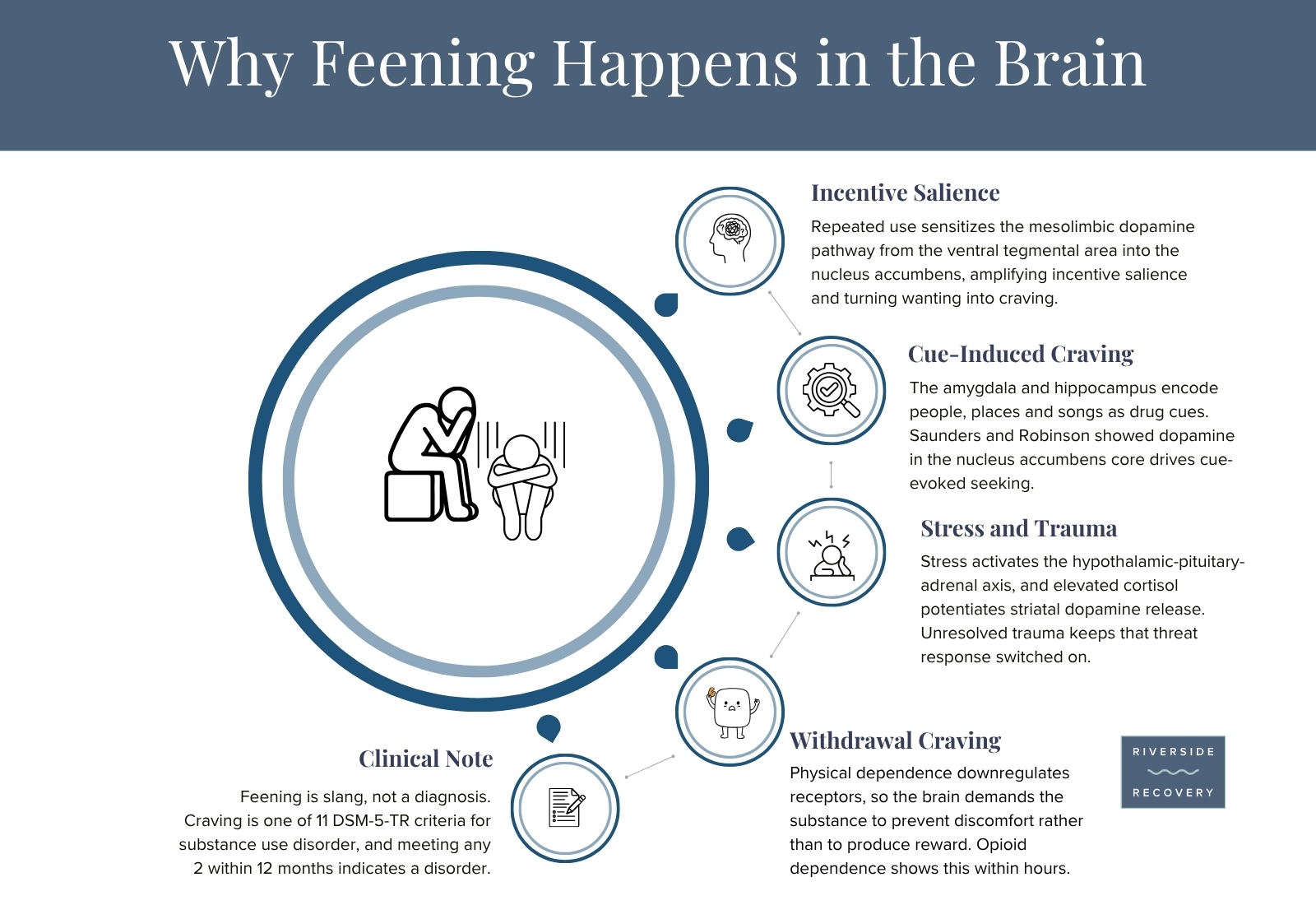 Riverside Recovery of Tampa infographic titled Why Feening Happens in the Brain, showing incentive salience, cue-induced craving, stress and trauma, and withdrawal craving.