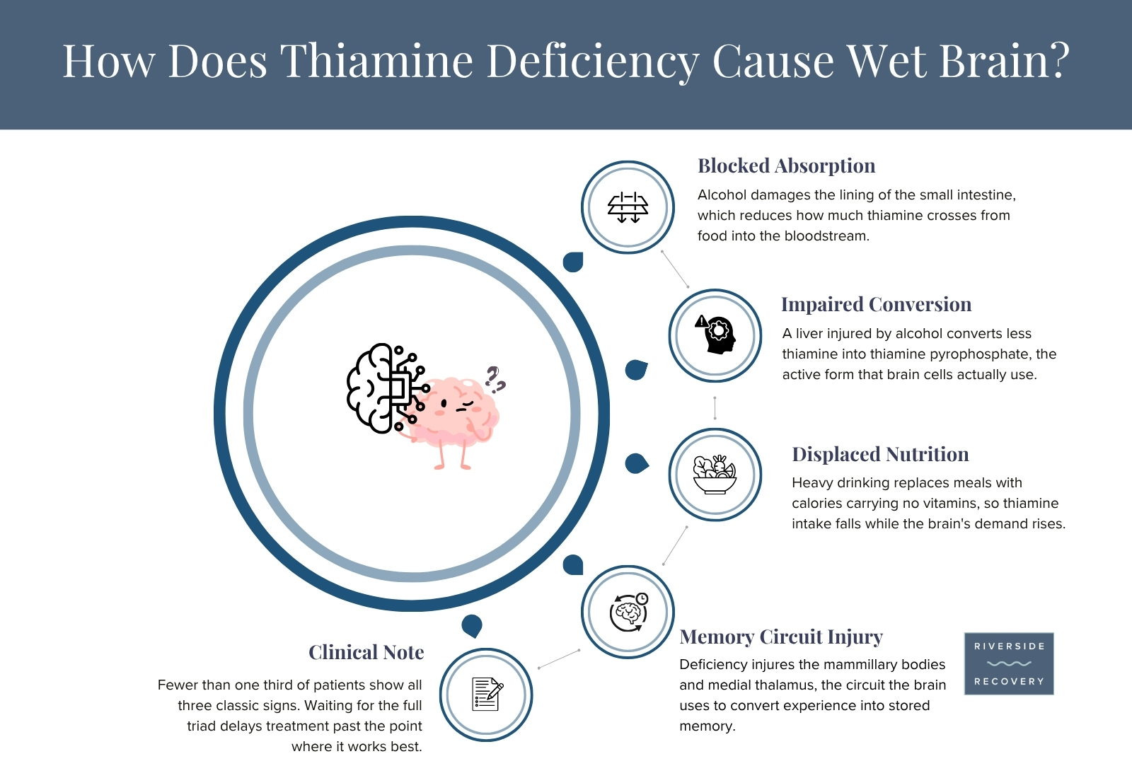 How Does Thiamine Deficiency Cause Wet Brain? Four Mechanisms